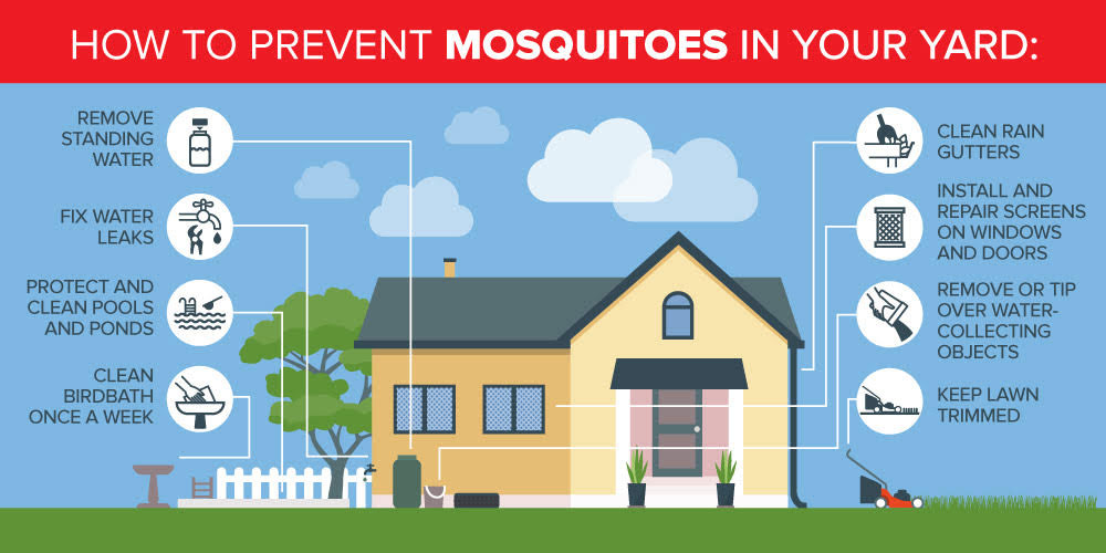 How to prevent mosquitoes in Virginia - Ehrlich Pest Control, formerly Connor's